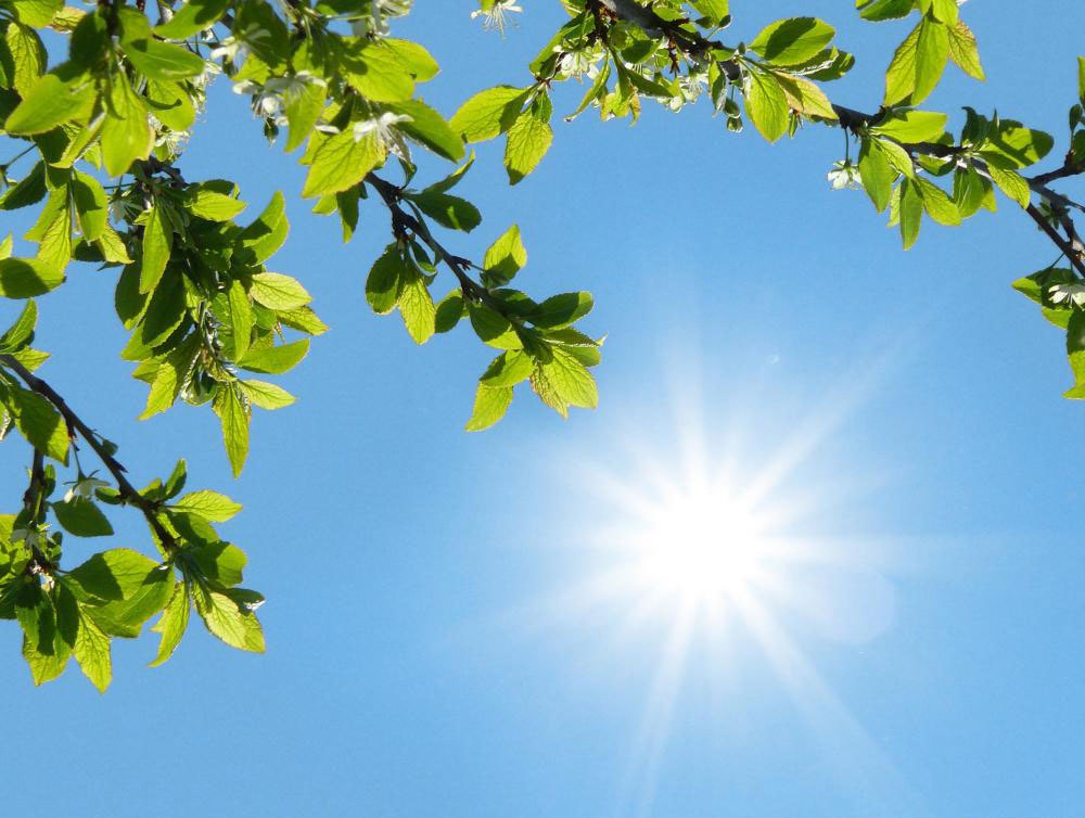 Солнечный день картинки. Ясный солнечный день. На восходе солнца. Природа солнце. Солнечный день.